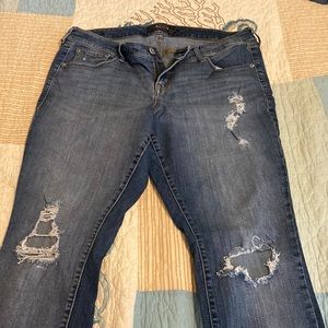 Torrid Jeans